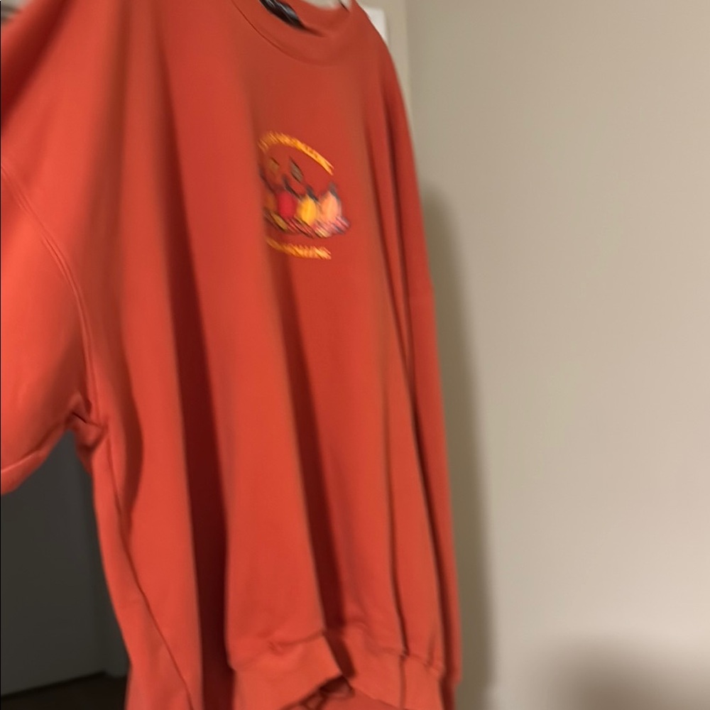 Kittenish Warm Orange Sweatshirt - Picture 4 of 4